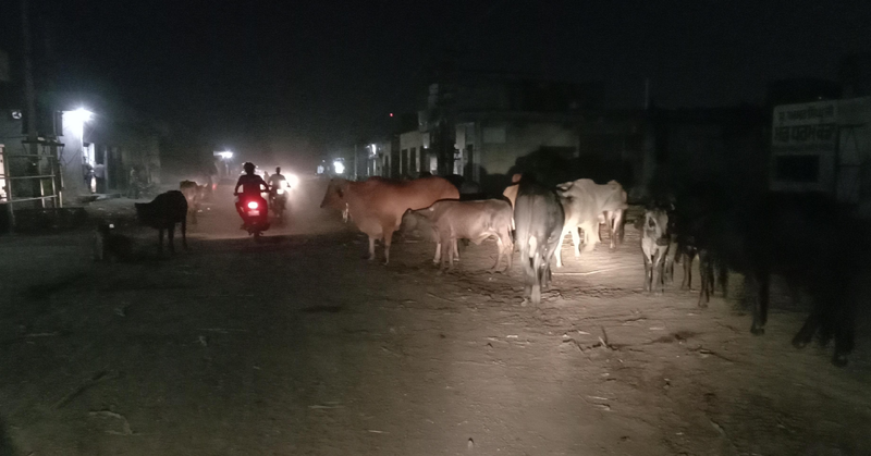 The administration should pay attention to the Jalandhar dairy complex
